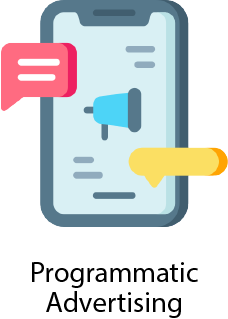 Programmatic advertising services
                          